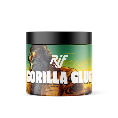 GORILLA.webp
