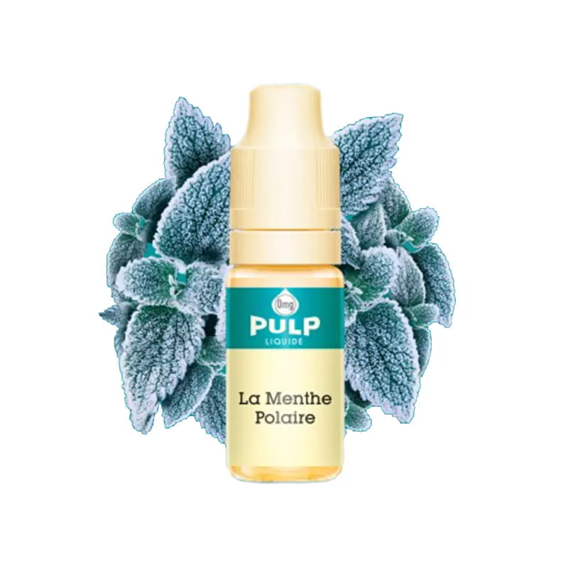Pulp Menthe polaire 18mg