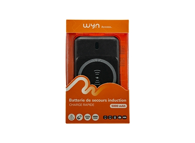 BATTERIE DE SECOURS INDUCTION 5000 MaH (1)