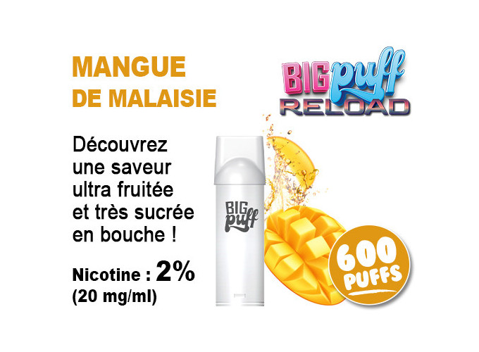 BIG PUFF RELOAD 2 POD MANGUE DE MALAISIE 20 MG