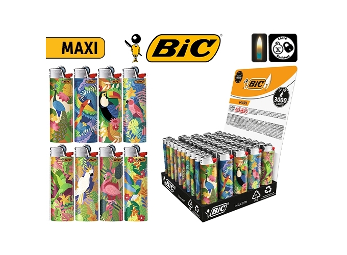 BRIQ. BIC J26 MAXI ''BIRDS'' (50)
