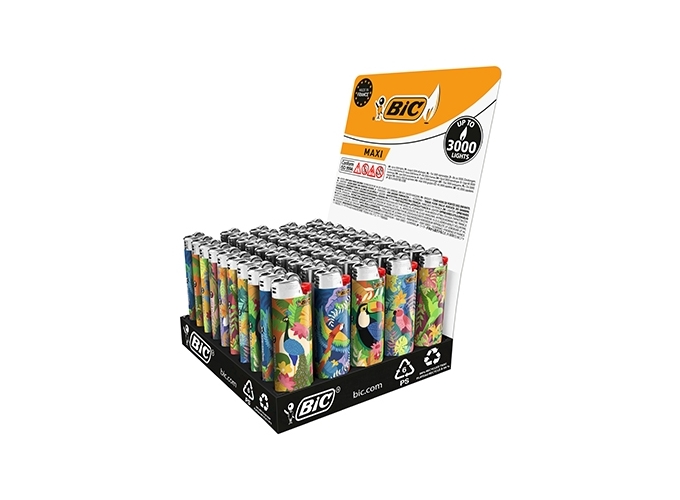 BRIQ. BIC J26 MAXI ''BIRDS'' (50)