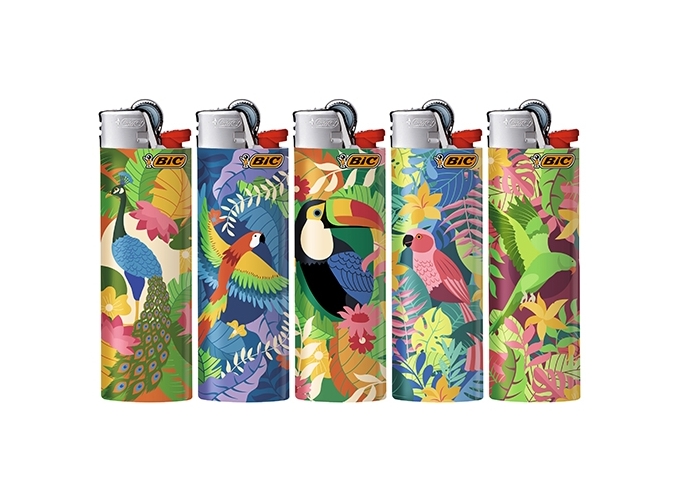 BRIQ. BIC J26 MAXI ''BIRDS'' (50)