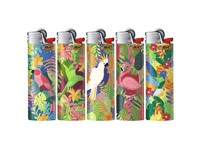 BRIQ. BIC J26 MAXI ''BIRDS'' (50)