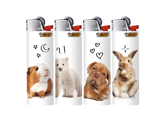 BRIQ. BIC J26 MAXI ''CUTE'' (50)