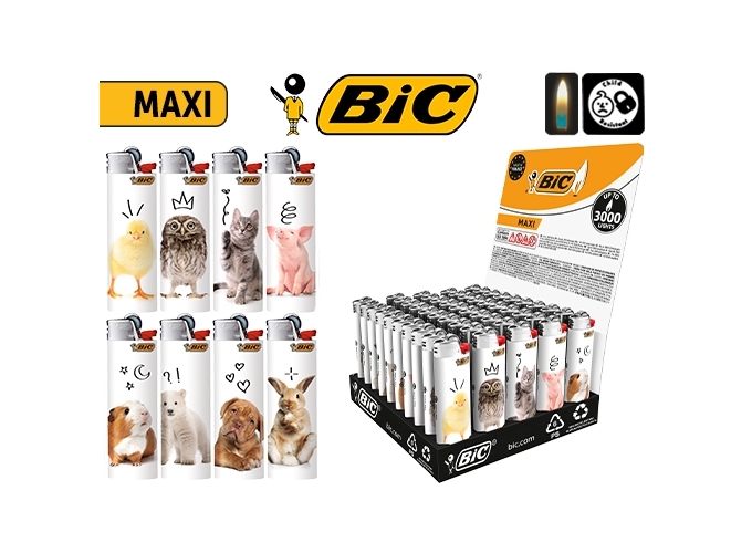 BRIQ. BIC J26 MAXI ''CUTE'' (50)