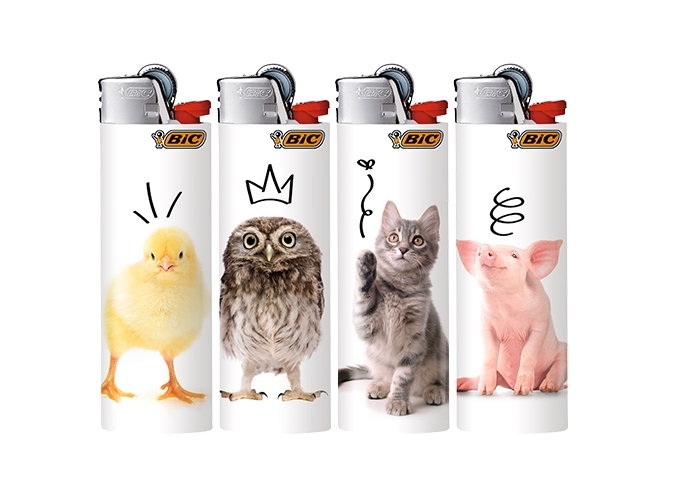 BRIQ. BIC J26 MAXI ''CUTE'' (50)