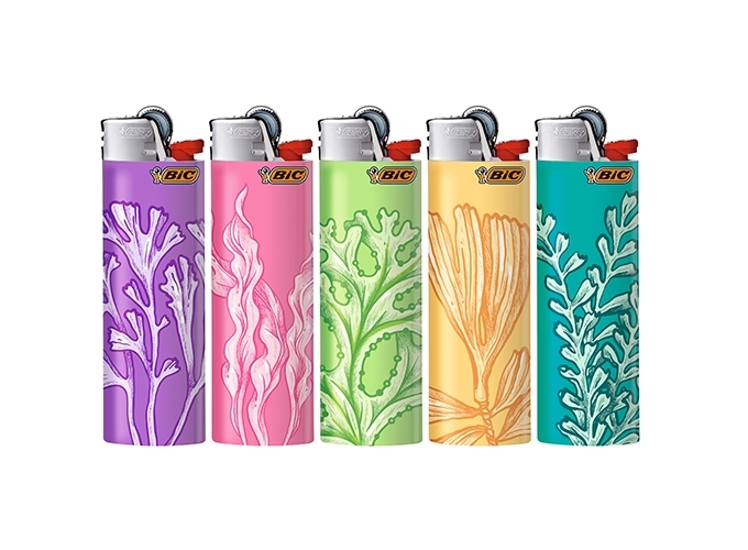 BRIQ. BIC J26 MAXI ''SEA'' (50)