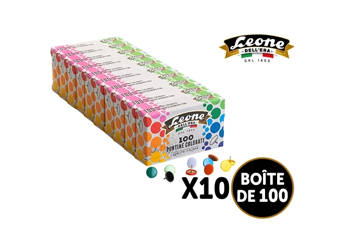 BTE 100 PUNAISES COUL. ASS. (10)