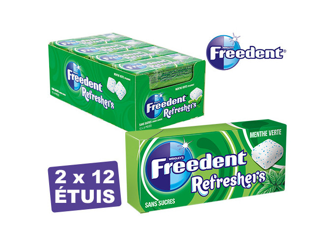 BTE 24 ETUIS FREEDENT REFRESHERS MENTHE VERTE (1)