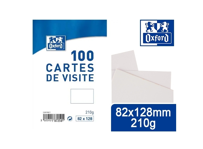 BTE PLAST. 100 CARTES VISITE 82X128 (20)