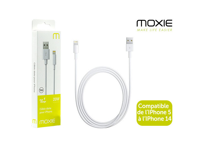 CABLE DATA POUR I PHONE GENERATION 5 6 7  (1)