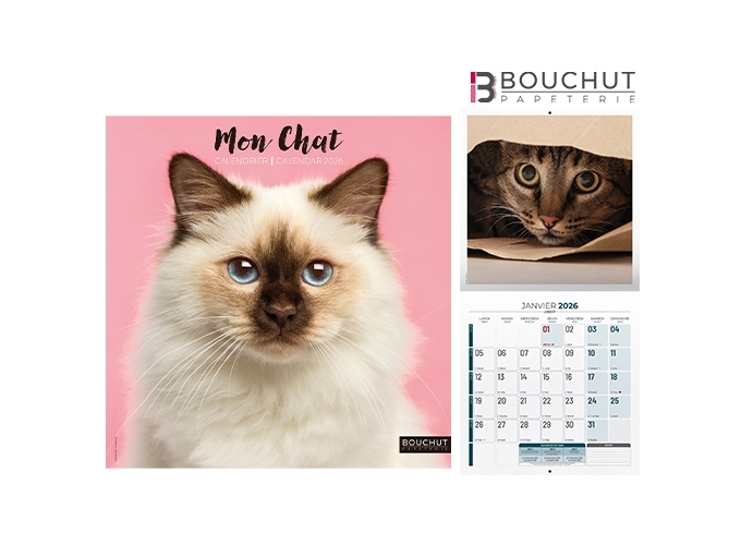 CALEND. 2026  30X30 ILLUSTRE 1 MOIS P. CHATS