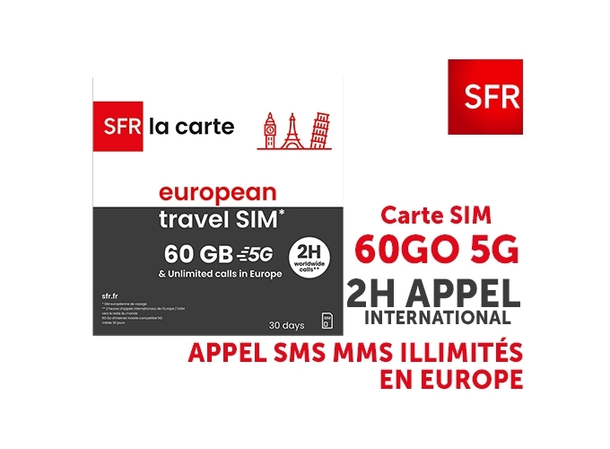 CARTE SIM SFR TRAVEL 60GO   APPELS,SMS ILLI. (1)