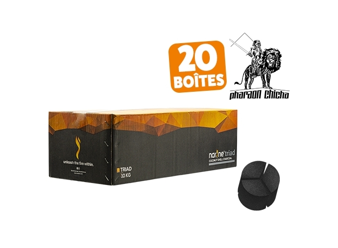 CARTON 20 BTES 1 KG CHARBON NARINE