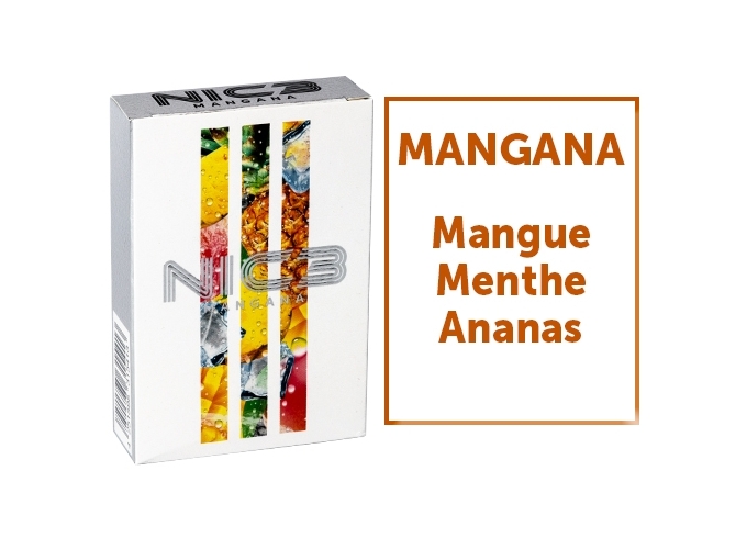 CELLULOSE POUR CHICHA MANGANA (CART. 10)