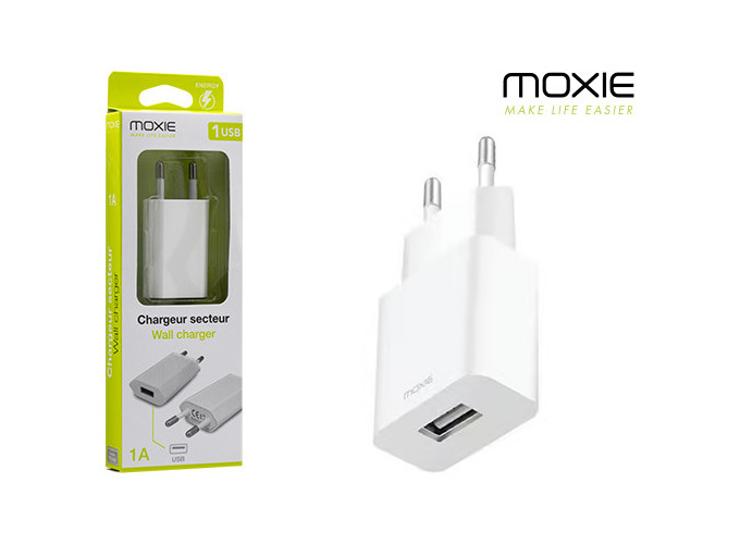 CHARGEUR SECTEUR BLANC  AVEC ENTREE USB    1A (1)