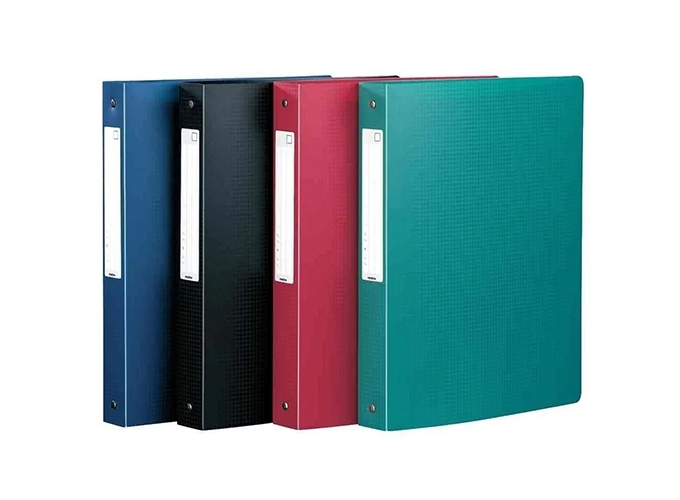 CLASS. POLYPRO DOS 40 A4 STUCTURE COUL. ASS. (1)