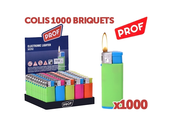 COLIS 1000 BRIQ. PROF MINI ELECTR.  BICOLORE (1)