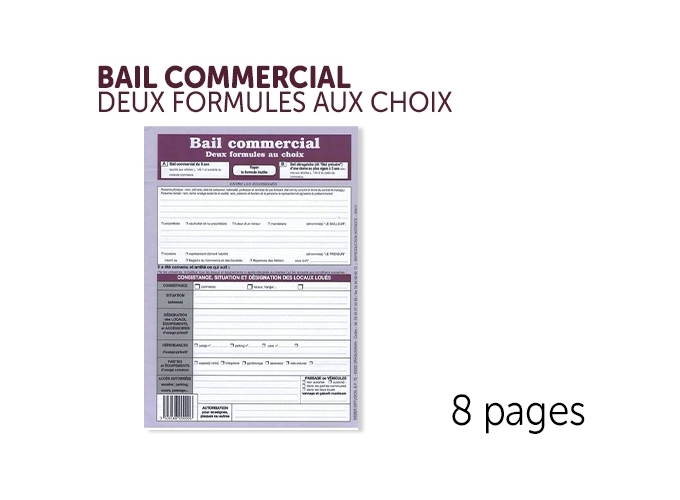 CONTRAT BAIL PROFESSIONNEL (10)