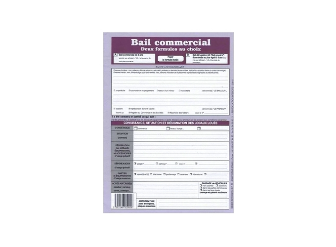 CONTRAT BAIL PROFESSIONNEL (10)