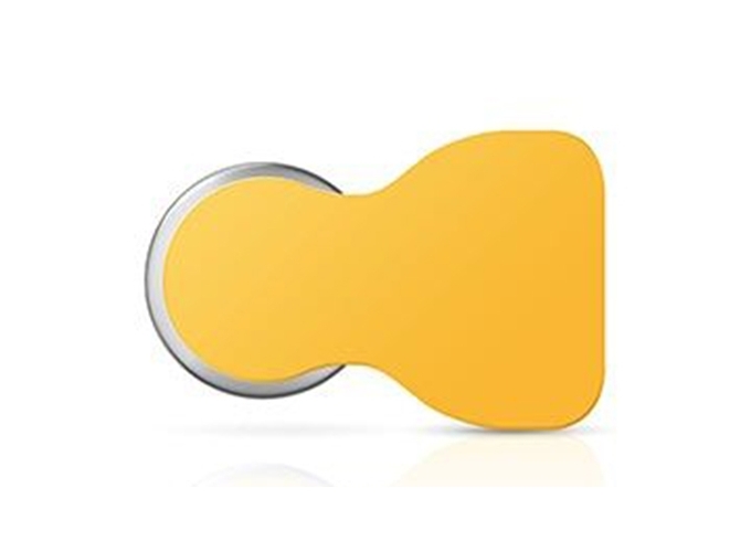 CTE 6 PILES *GP* ZA  10 ZINC-AIR PROTH. AUDIT.(10)