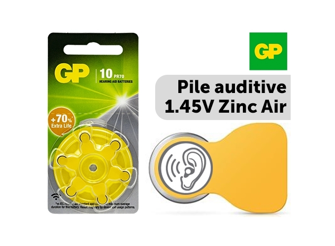 CTE 6 PILES *GP* ZA  10 ZINC-AIR PROTH. AUDIT.(10)