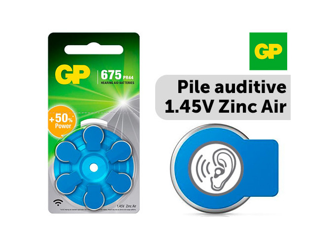 CTE 6 PILES *GP* ZA675 ZINC-AIR PROTH. AUDIT.(10)