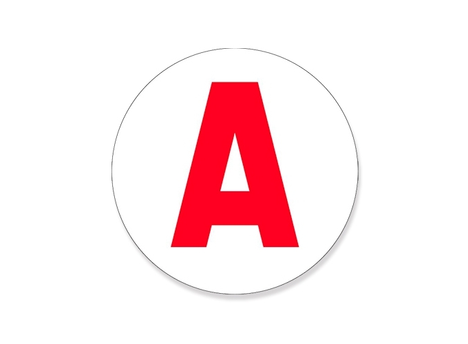 DISQUE - A - JEUNE CONDUCTEUR MAGNETIQUE (10)