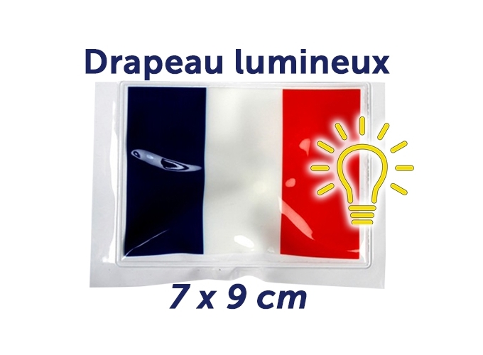 DRAPEAU FRANCAIS LUMINEUX   (12)