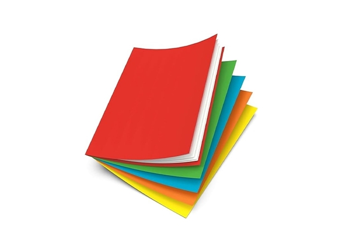 ETUI 50 S CHEMISES 220X310 5 COUL. ASS. (1)