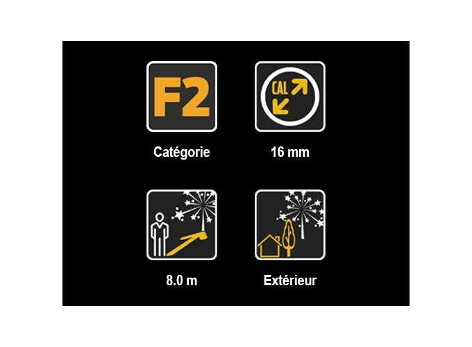 EUROPEAN AMATEUR  SACHET 37 PIECES ASS. F2  (1)