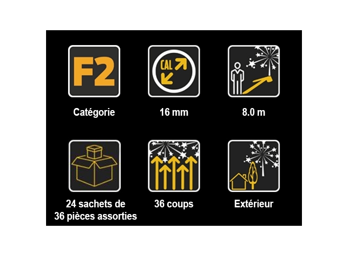 EUROPEAN CONNAISSEUR  SACHET 36 PIECES ASS.F2 (1)