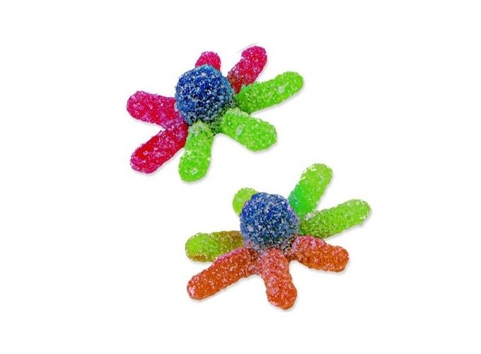 FINI SACH. 90g JELLY OCTOPUS (12)