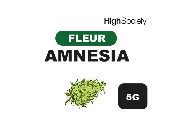 HIGH SOCIETY  AMNESIA  5G  (10)
