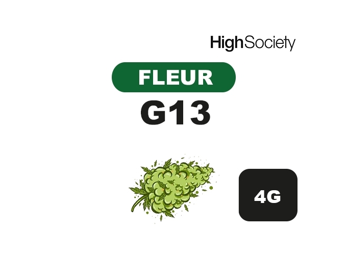 HIGH SOCIETY  G13 5G  (10)