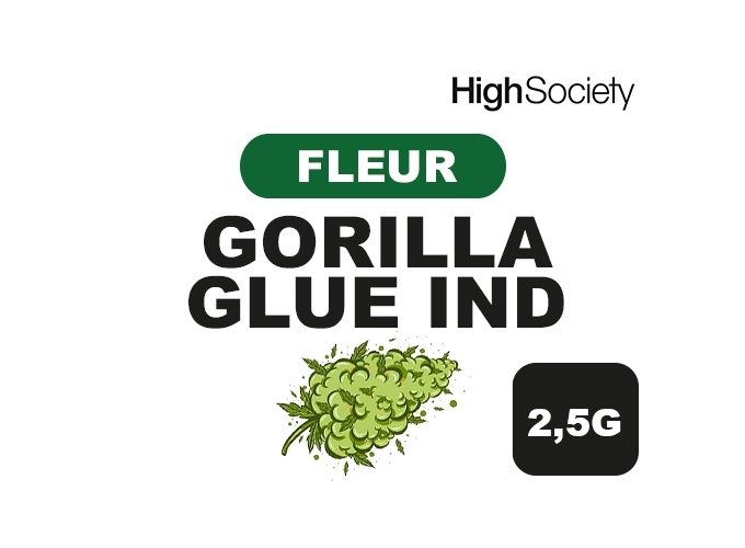 HIGH SOCIETY  GORILLA GLUE IND  5G  (10)