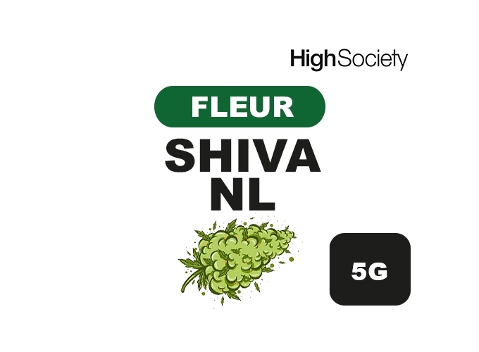 HIGH SOCIETY  SHIVA NL 5G  (10)