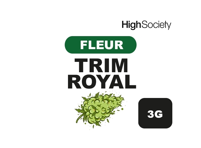 HIGH SOCIETY TRIM ROYAL  3G  (10)