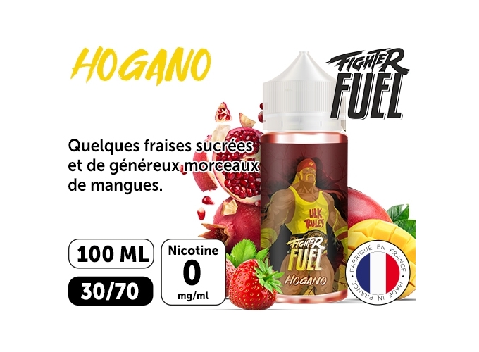 HOGANO  100 ML FUEL LIQUIDE