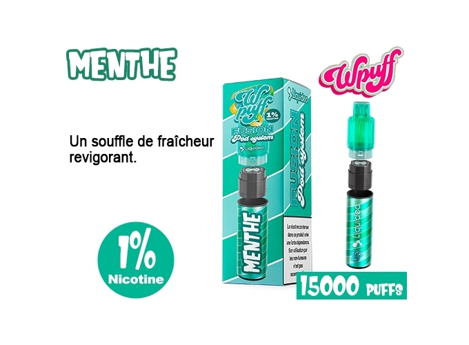 KIT FUSION  BATTERIE POD MENTHE  1% (10)