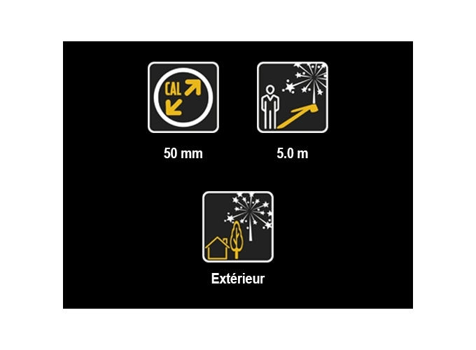 LANCE-COTILLONS 30cm BLEU-BLANC-ROUGE (12 pieces)