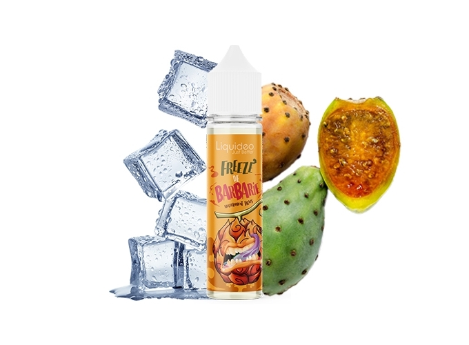 LIQUIDEO FREEZE BARBARIE 50 ML