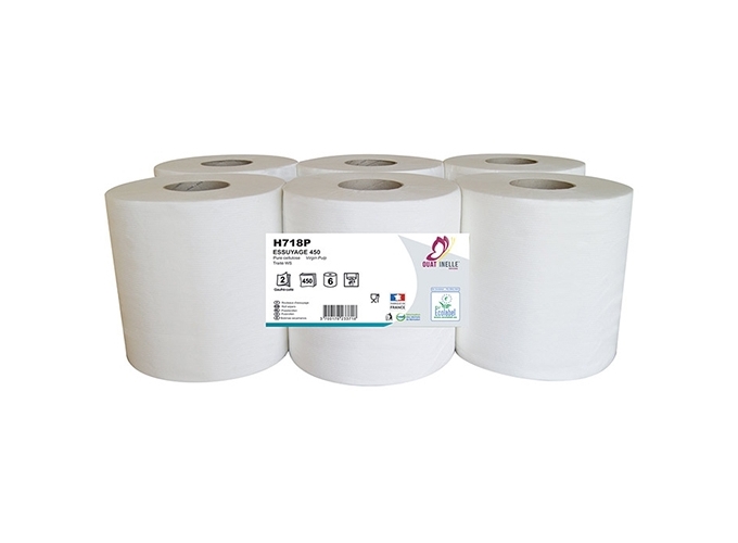 LOT DE 6 BOBINES ESSUYAGE 450F 2P (1)