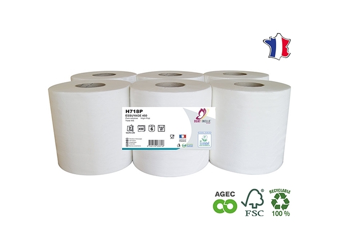LOT DE 6 BOBINES ESSUYAGE 450F 2P (1)