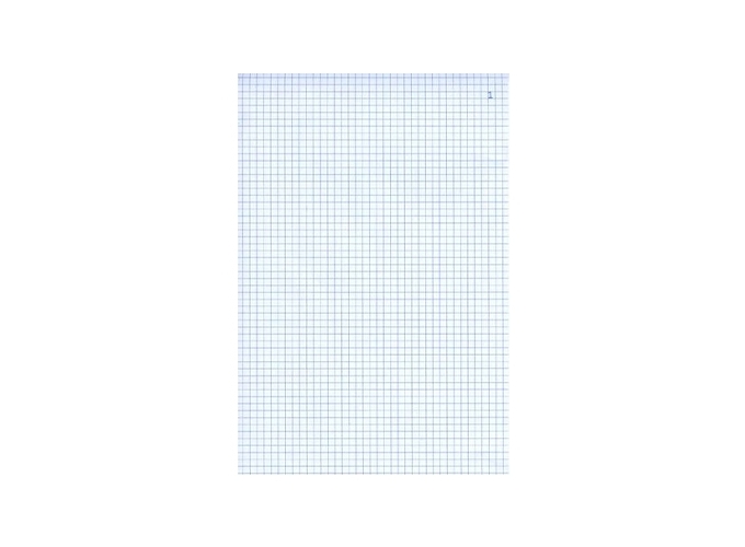 MANIF. QUADRILLE 5X5 50 2F 105X148 (10)