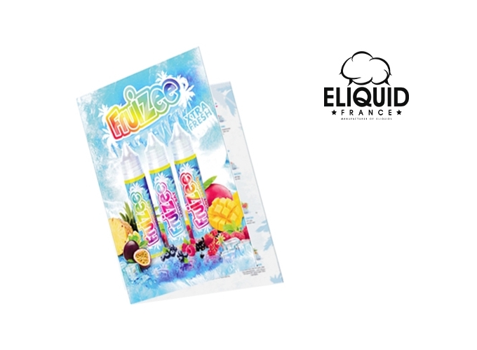 MENU SAVEUR GAMME FRUIZEE