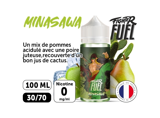 MINAZAWA 100 ML FUEL LIQUIDE