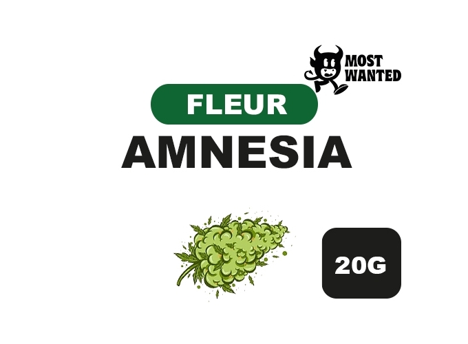 MOST WANTED  AMNESIA  20G  (8)