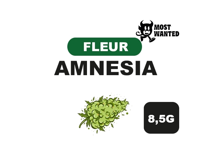 MOST WANTED  AMNESIA  8.5G  (8)